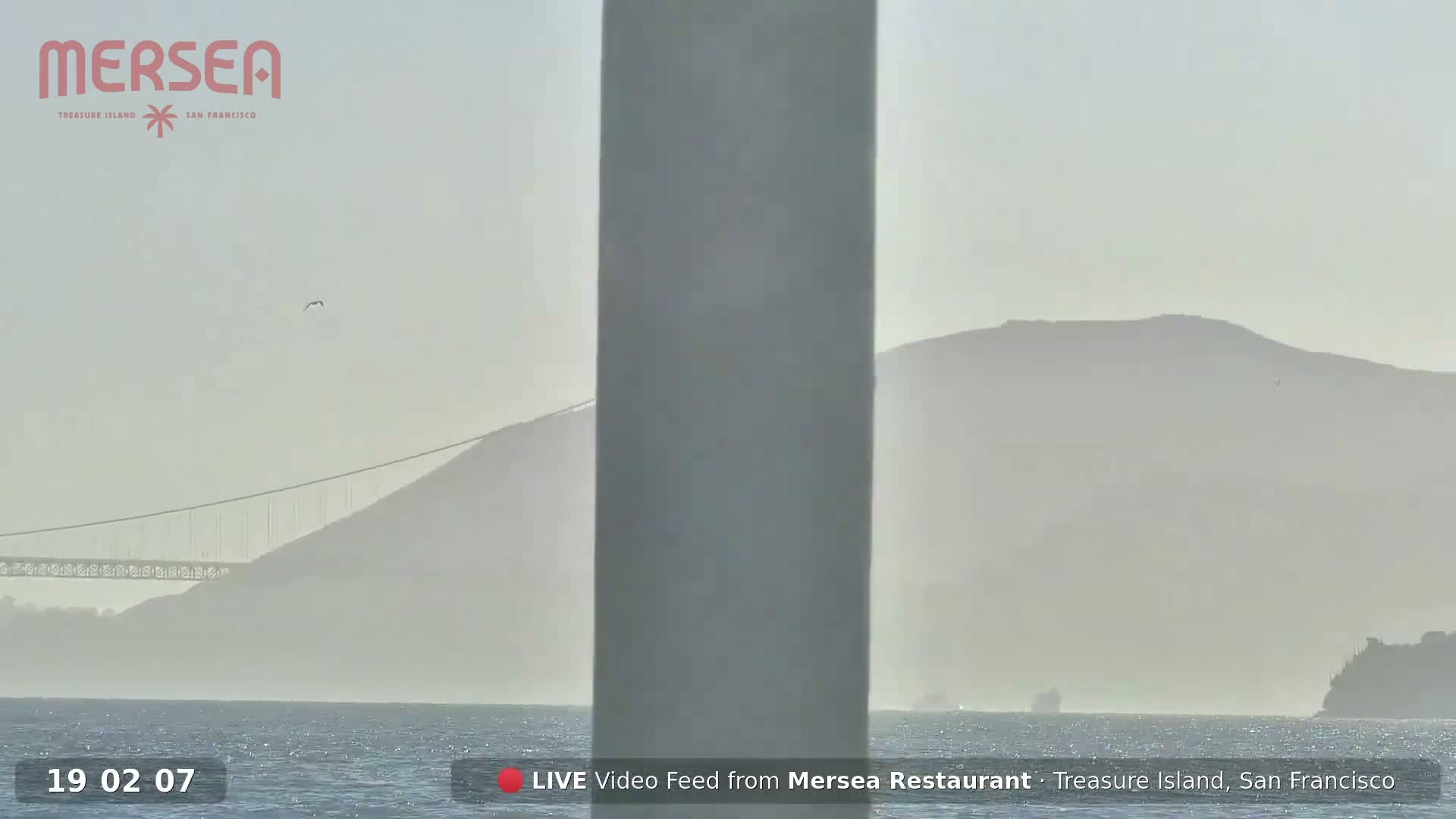 San Francisco City Live Camera from Treasure Island - San Fracisco, California, USA