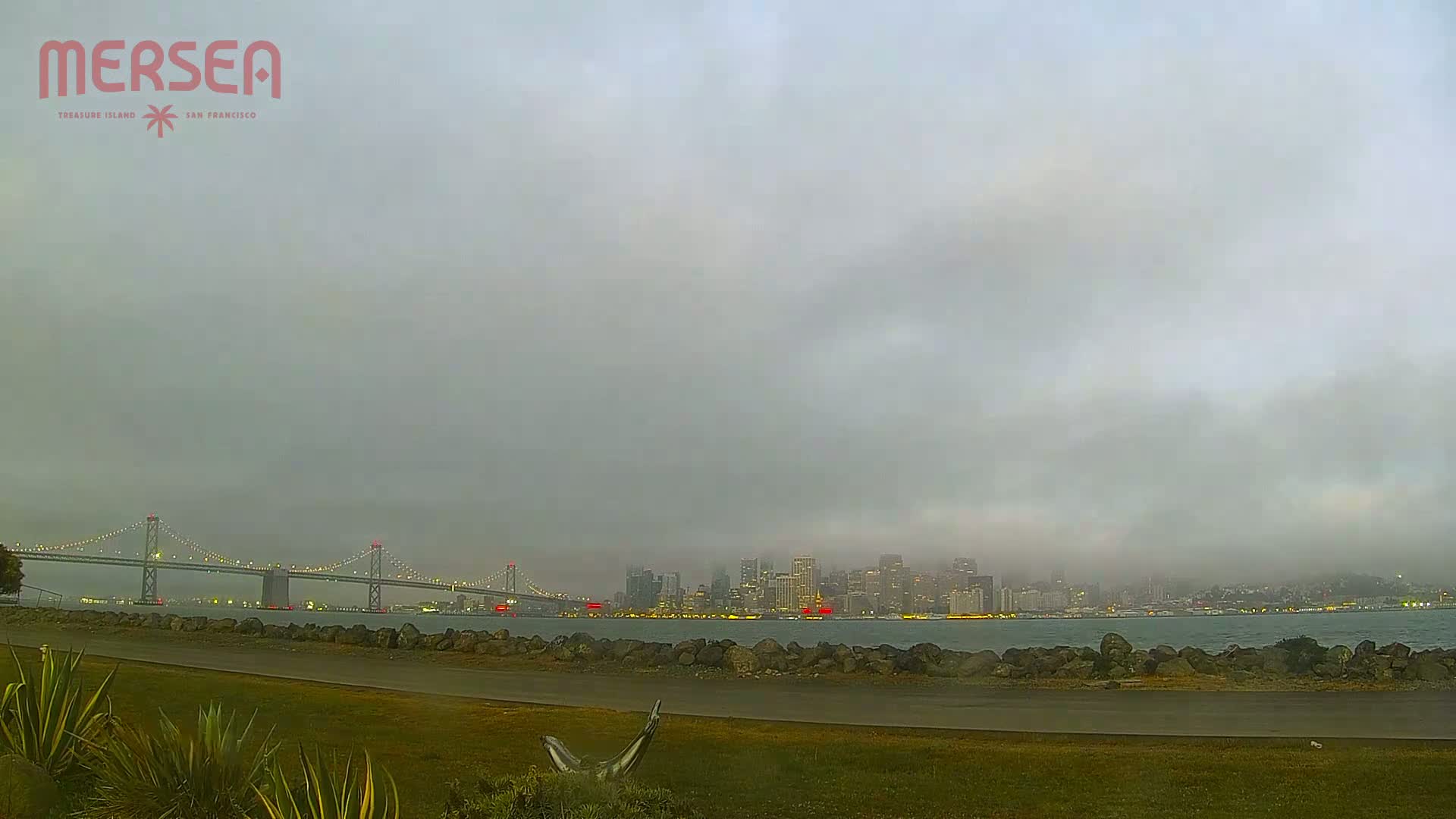 A foggy cityscape is visible across a body of water from a grassy park area with a suspension bridge in the foreground.
