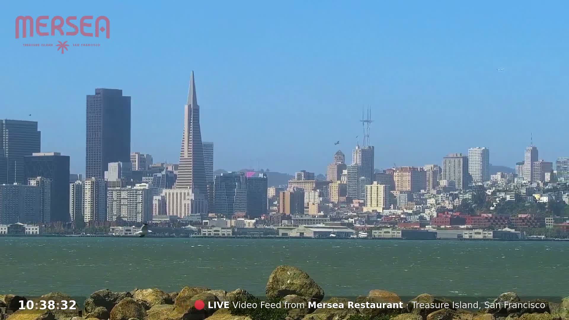 A city skyline under a clear blue sky is seen from across a body of water with some rocks in the foreground.