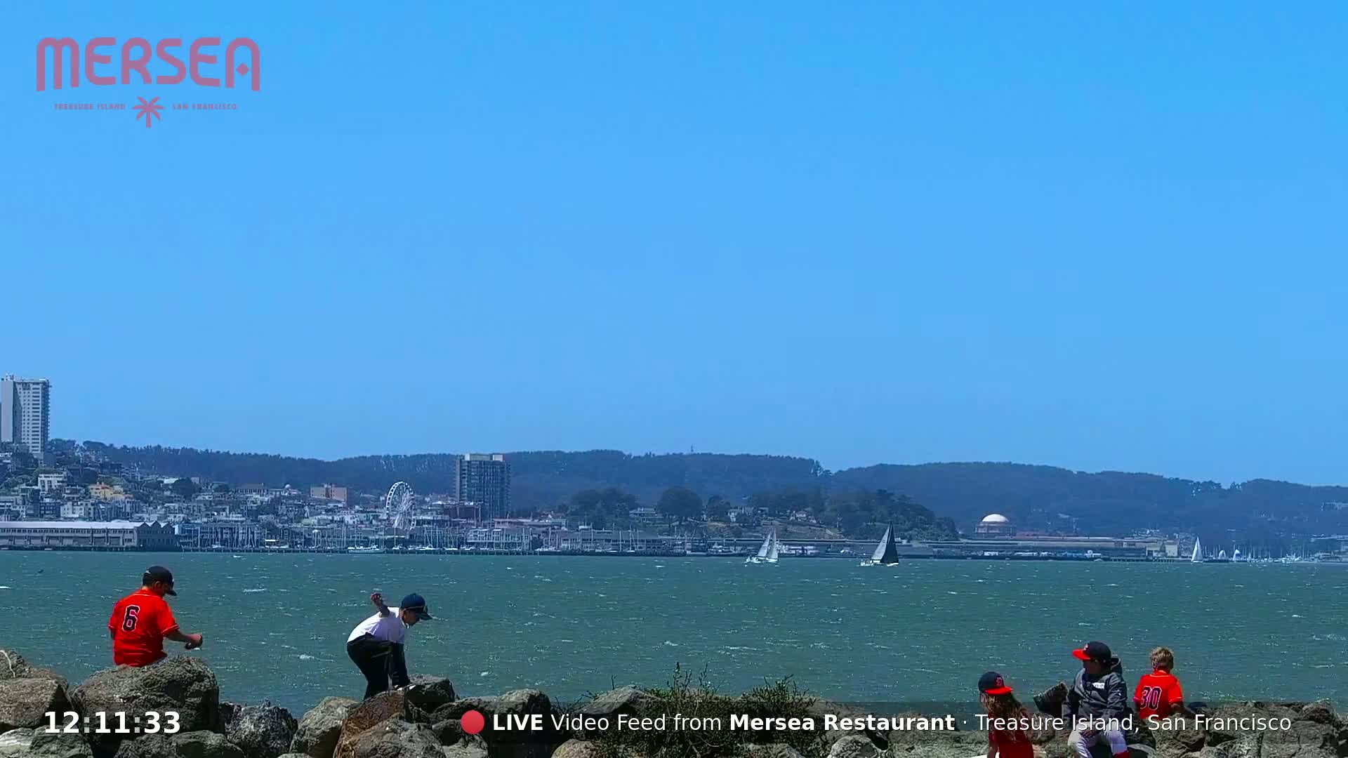 San Francisco City Live Camera from Treasure Island - San Fracisco, California, USA