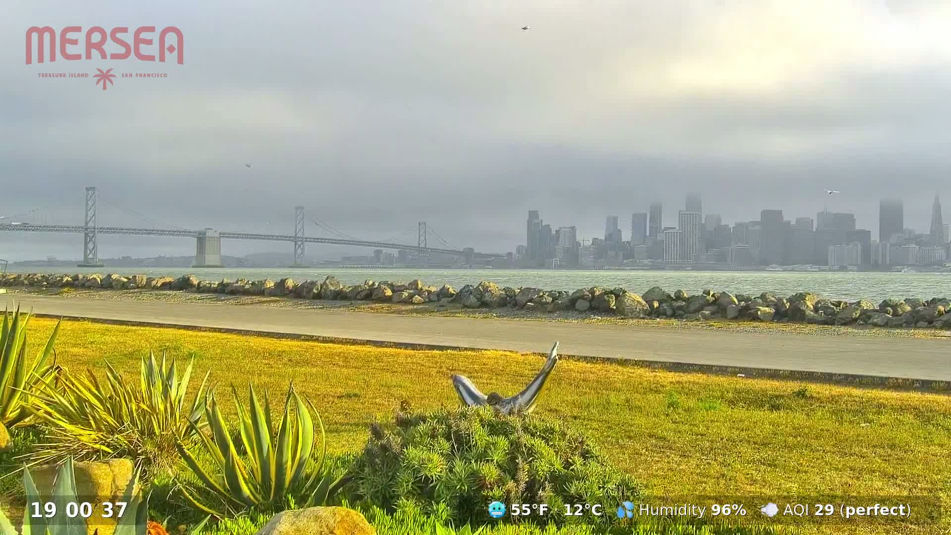 San Francisco City Live Camera from Treasure Island - San Fracisco, California, USA