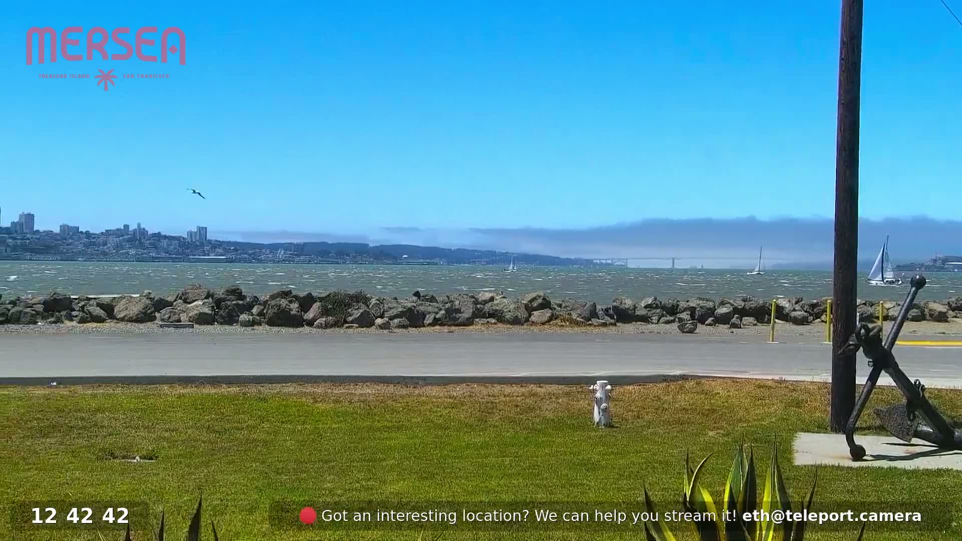 San Francisco City Live Camera from Treasure Island - San Fracisco, California, USA