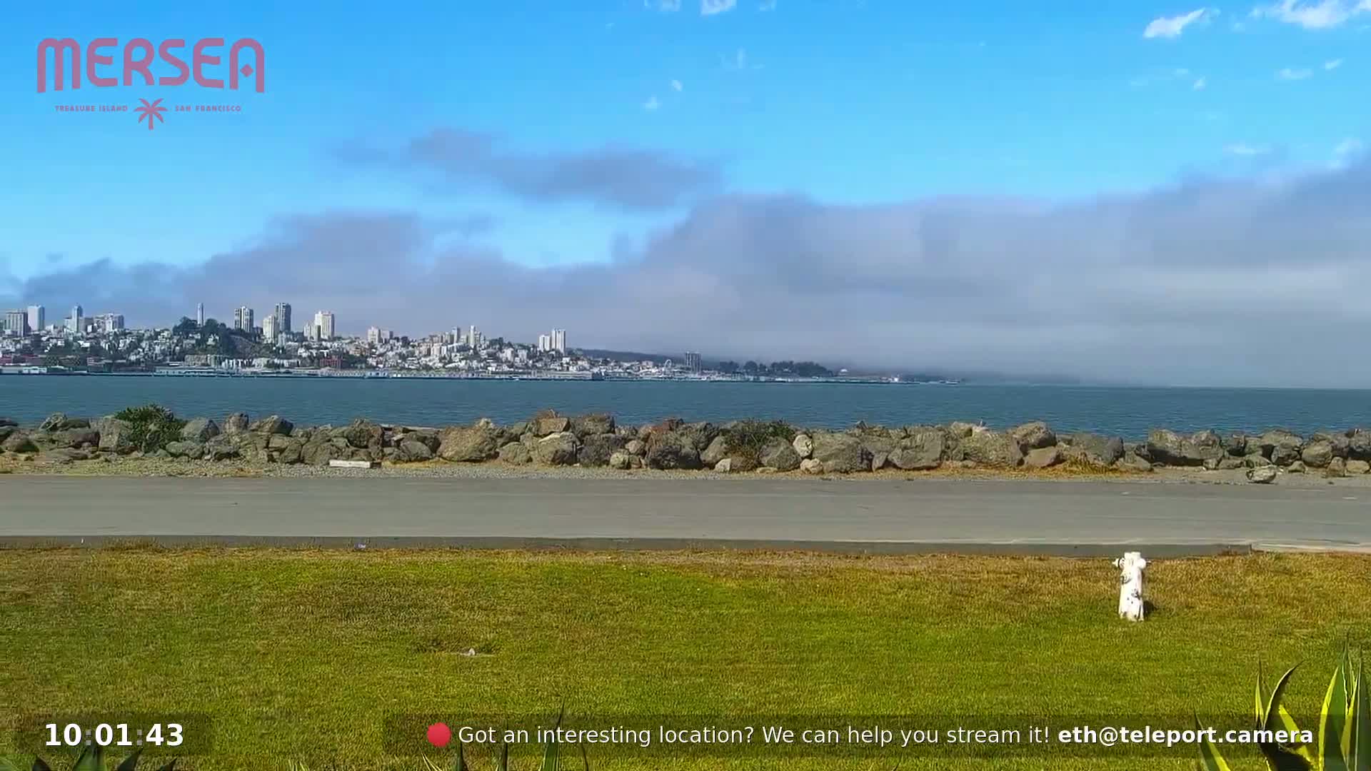 San Francisco City Live Camera from Treasure Island - San Fracisco, California, USA