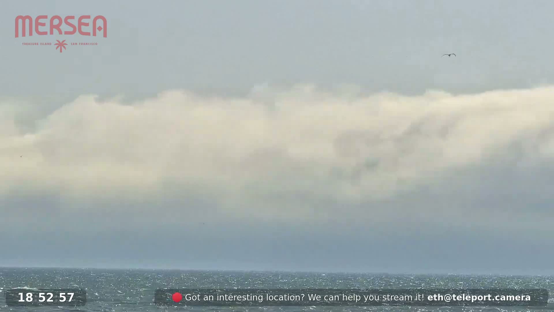 San Francisco City Live Camera from Treasure Island - San Fracisco, California, USA