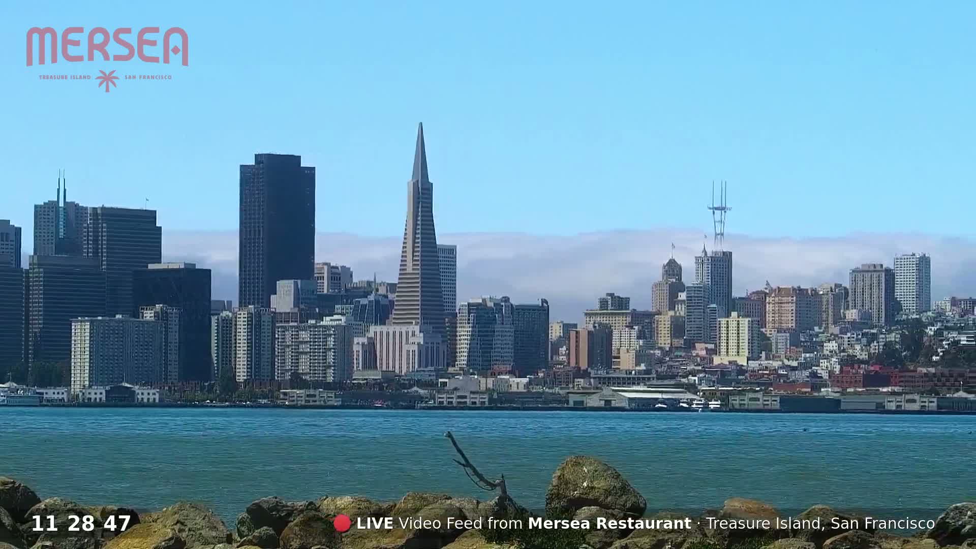 San Francisco City Live Camera from Treasure Island - San Fracisco, California, USA