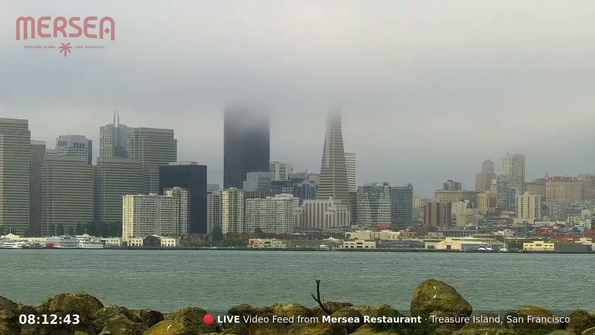 San Francisco City Live Camera from Treasure Island - San Fracisco, California, USA