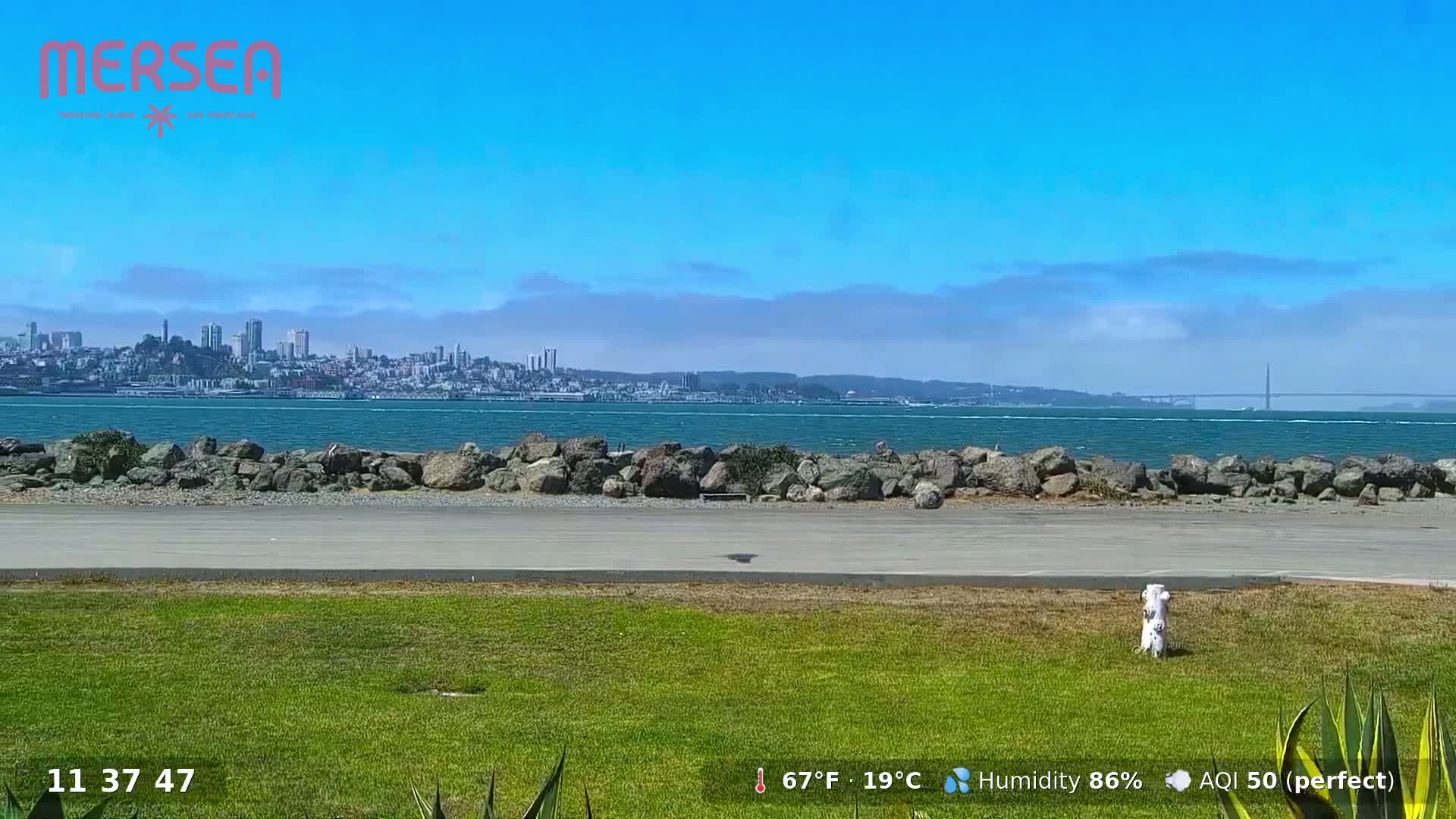 San Francisco City Live Camera from Treasure Island - San Fracisco, California, USA