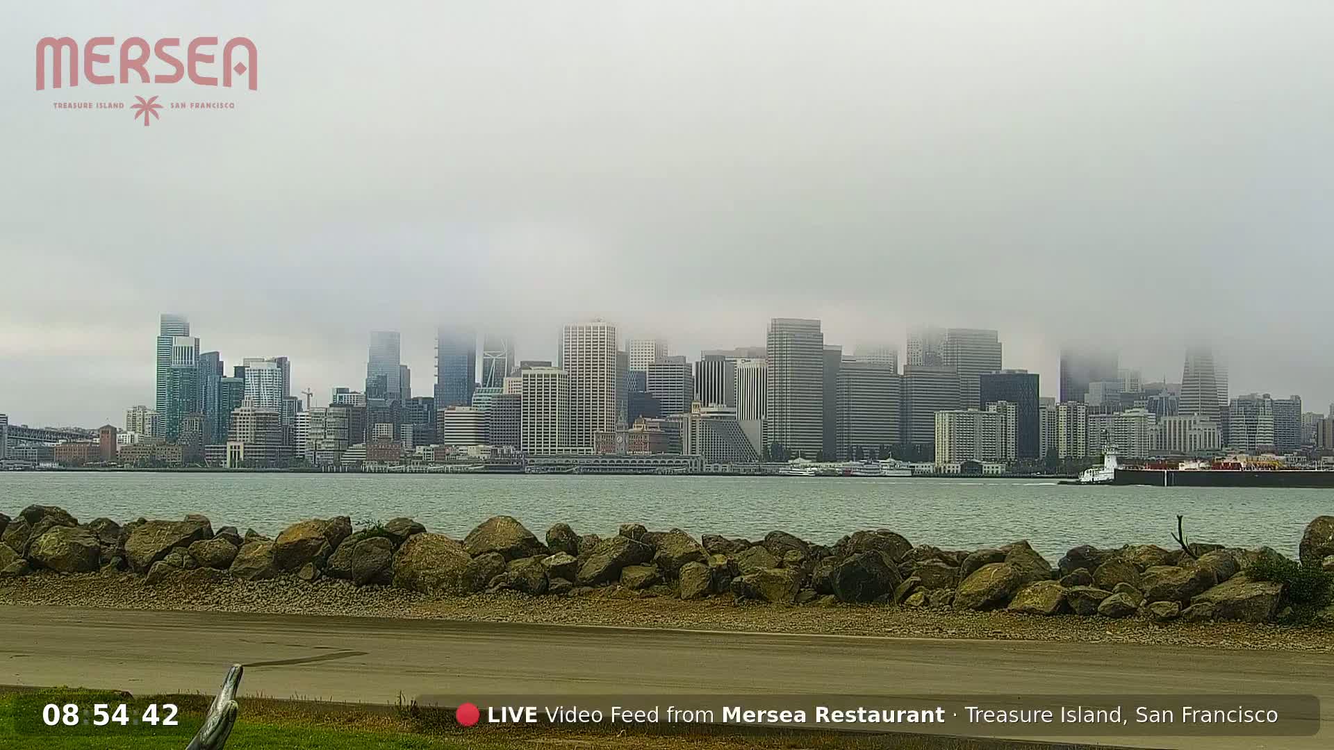 San Francisco City Live Camera from Treasure Island - San Fracisco, California, USA