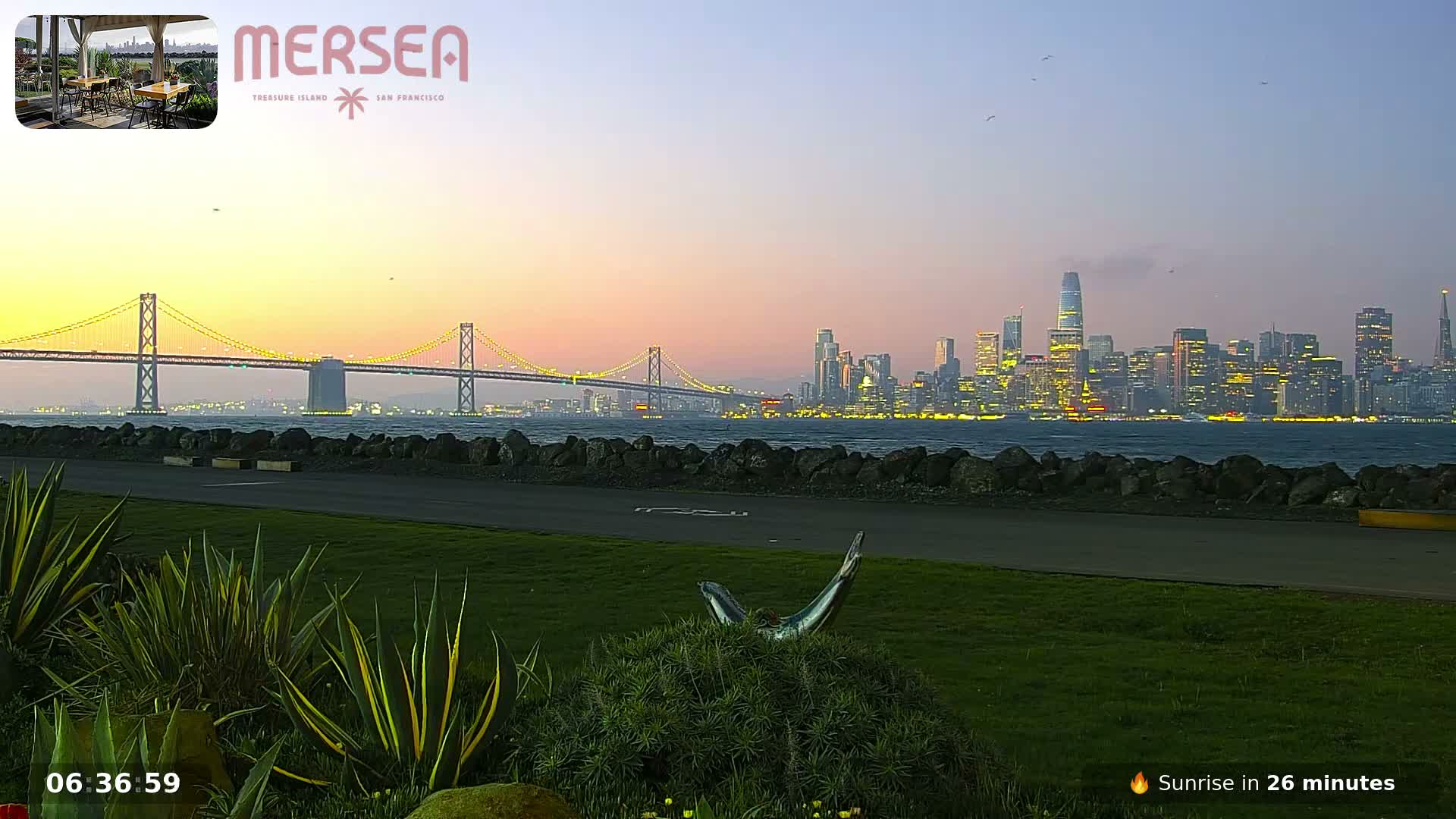 San Francisco City Live Camera from Treasure Island - San Fracisco, California, USA