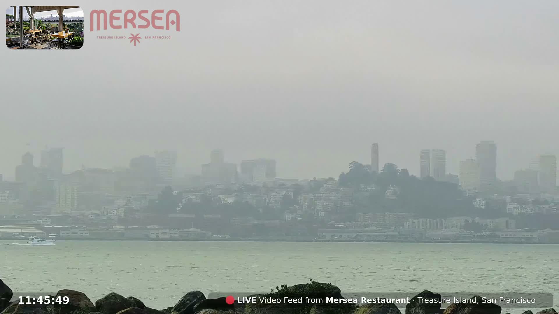 San Francisco City Live Camera from Treasure Island - San Fracisco, California, USA