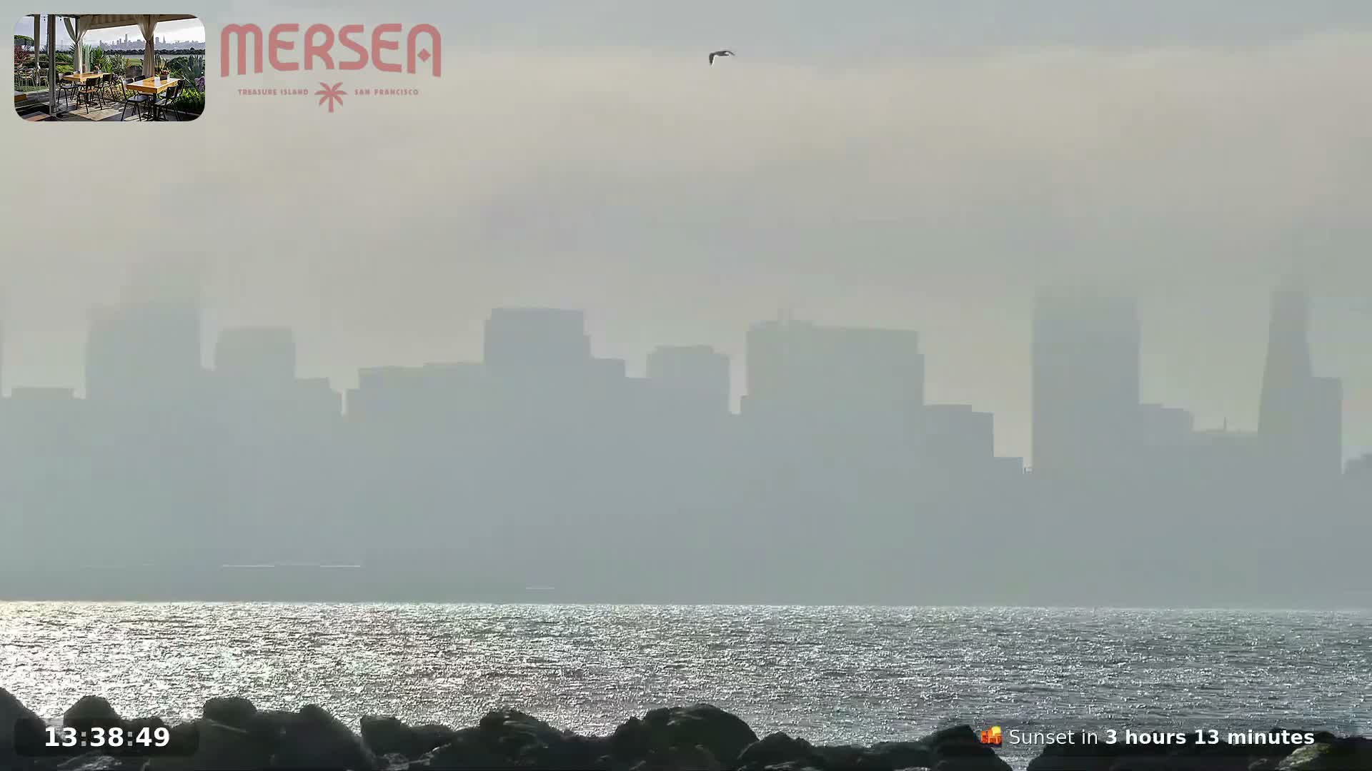 San Francisco City Live Camera from Treasure Island - San Fracisco, California, USA