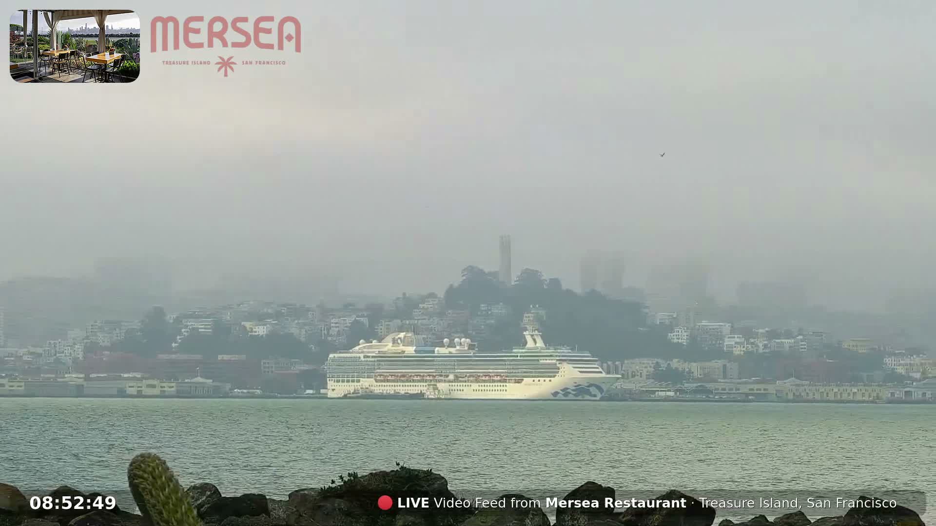San Francisco City Live Camera from Treasure Island - San Fracisco, California, USA