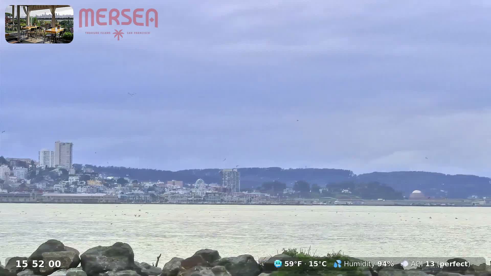 San Francisco City Live Camera from Treasure Island - San Fracisco, California, USA