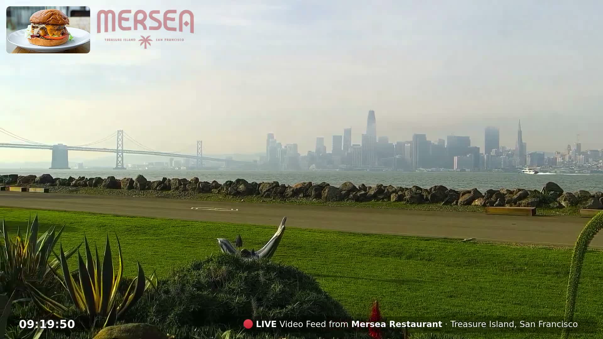 San Francisco City Live Camera from Treasure Island - San Fracisco, California, USA