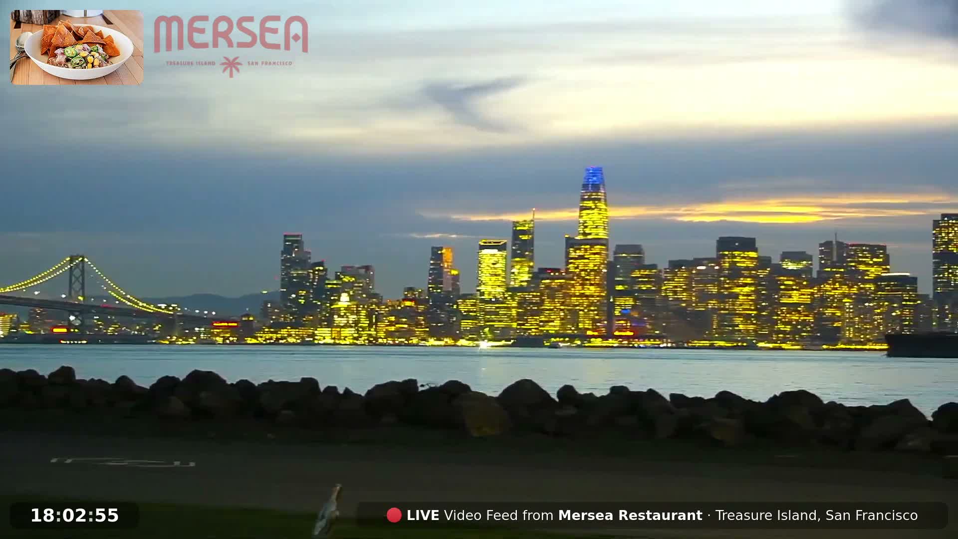 San Francisco City Live Camera from Treasure Island - San Fracisco, California, USA