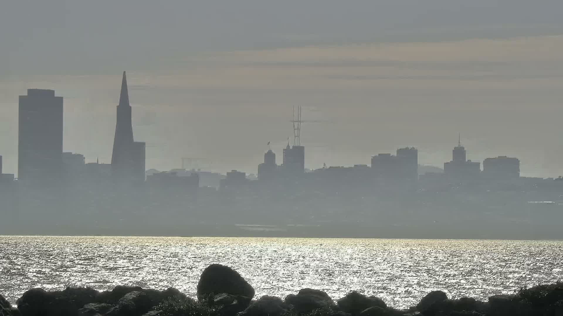 San Francisco City Live Camera from Treasure Island - San Fracisco, California, USA
