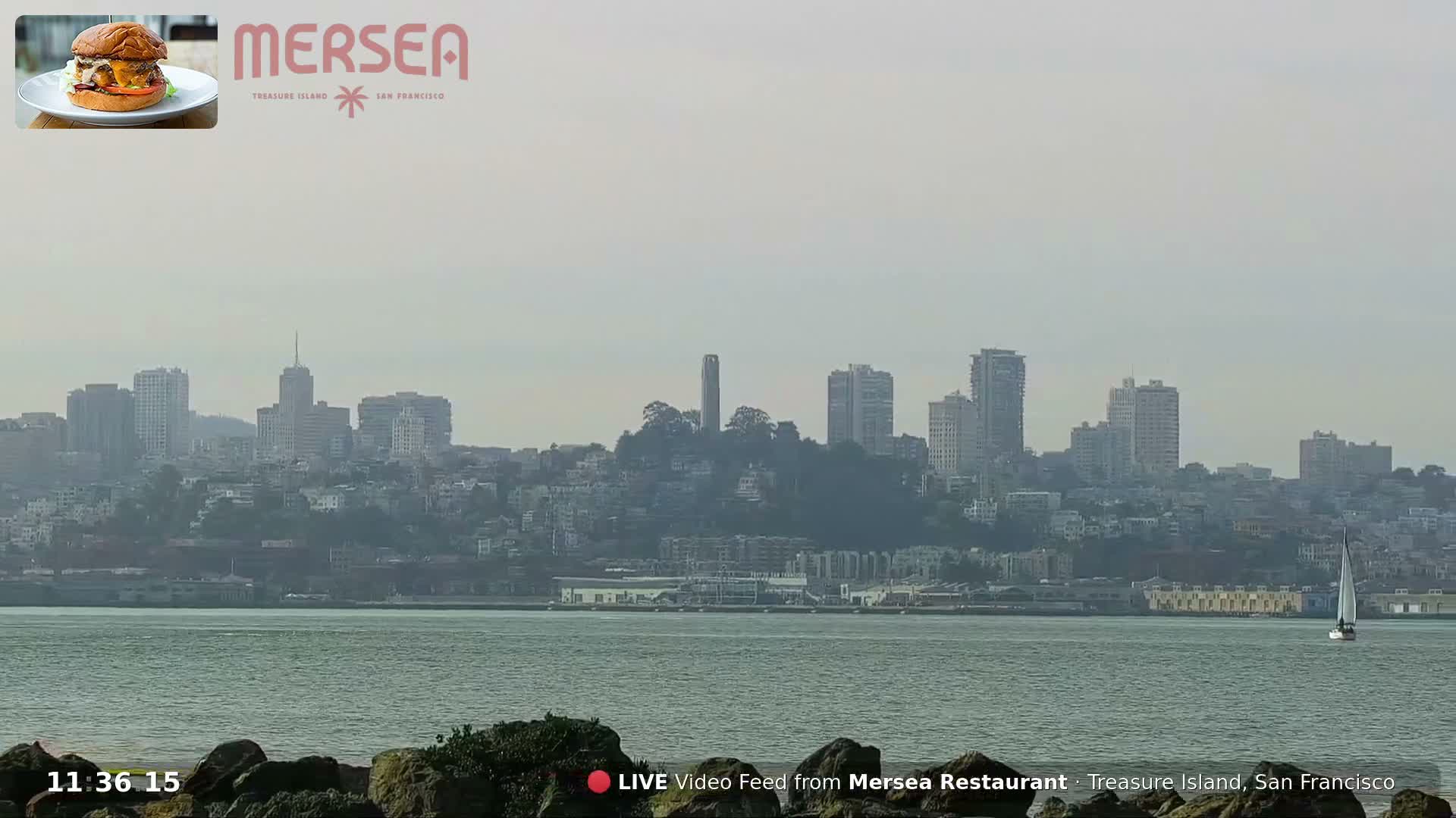 San Francisco City Live Camera from Treasure Island - San Fracisco, California, USA