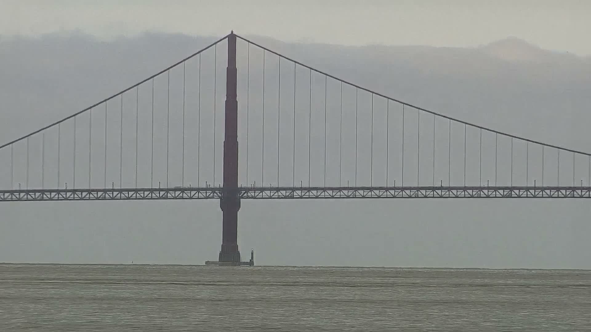 San Francisco City Live Camera from Treasure Island - San Fracisco, California, USA