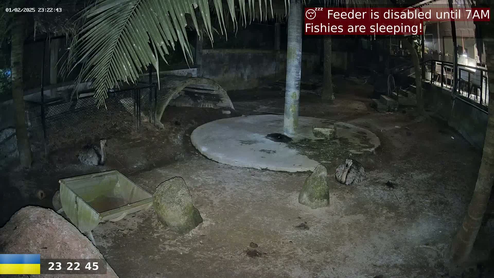 At night, under the cover of palm trees, two rheas rest in an enclosure on dirt ground near a stone circle and a small cart.