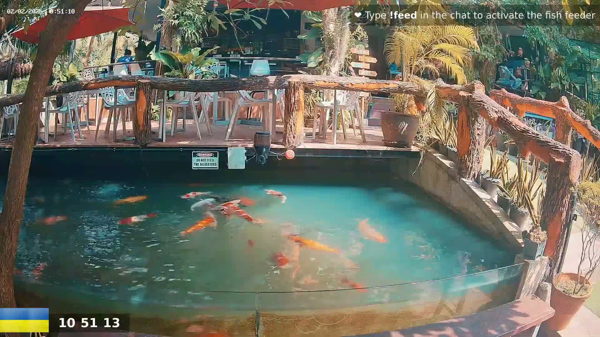 A koi pond with numerous fish swims in turquoise water next to an outdoor restaurant with a wooden deck and several tables under a partially shaded patio.