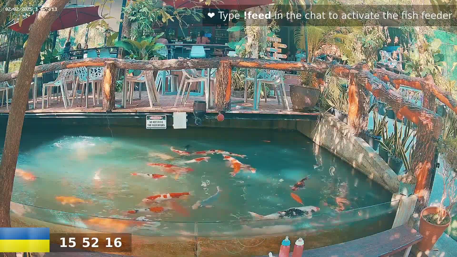 A koi pond with numerous colorful fish is surrounded by an outdoor patio with wooden railings and white chairs under a partly sunny sky.