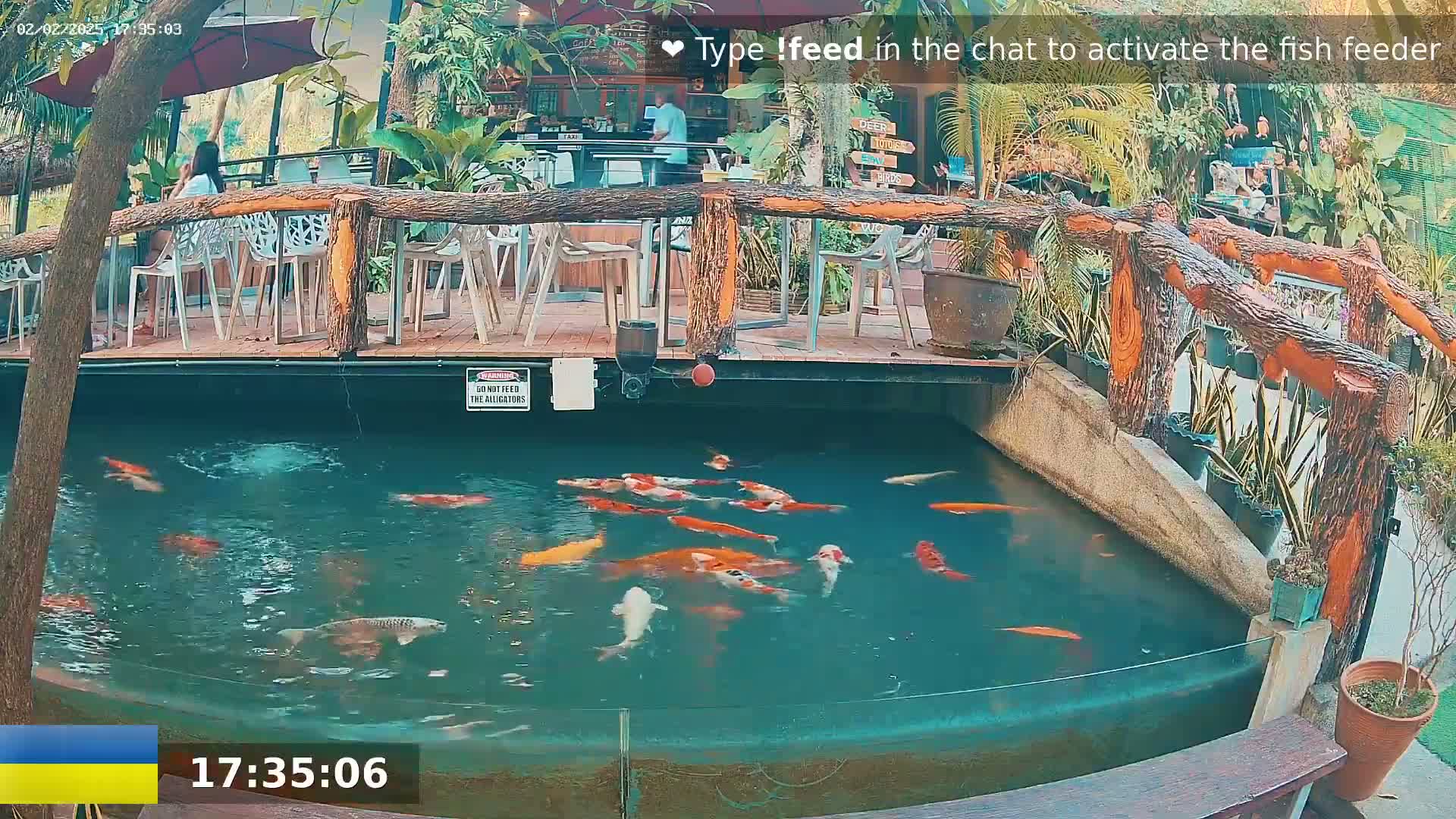 Koi swim in a pond next to an outdoor restaurant with a wooden deck and railing, under a partly shaded sky.