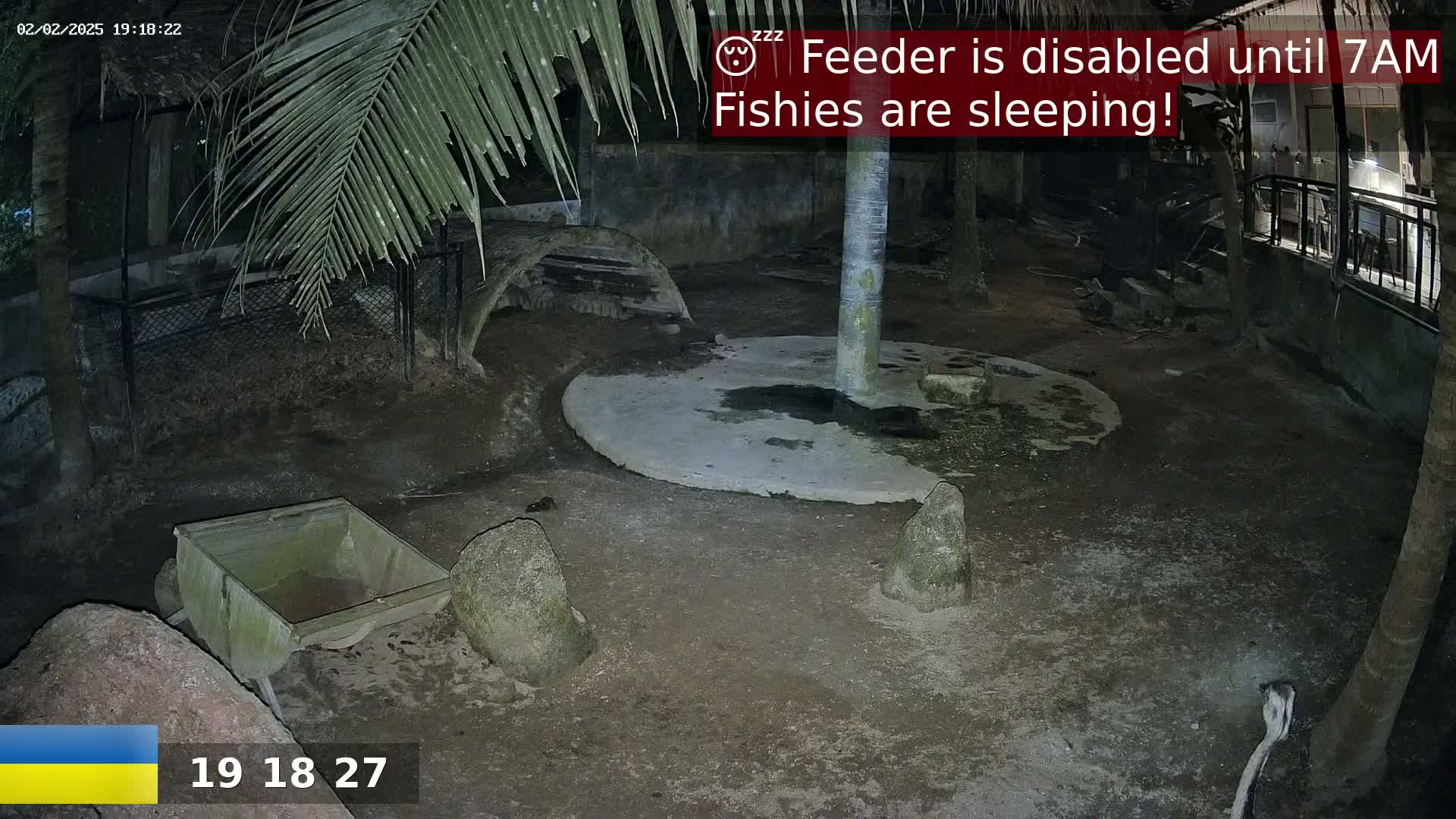 A nighttime, outdoor enclosure shows a dirt ground with a circular cement pad, several rocks, a small cart, and part of a palm tree.