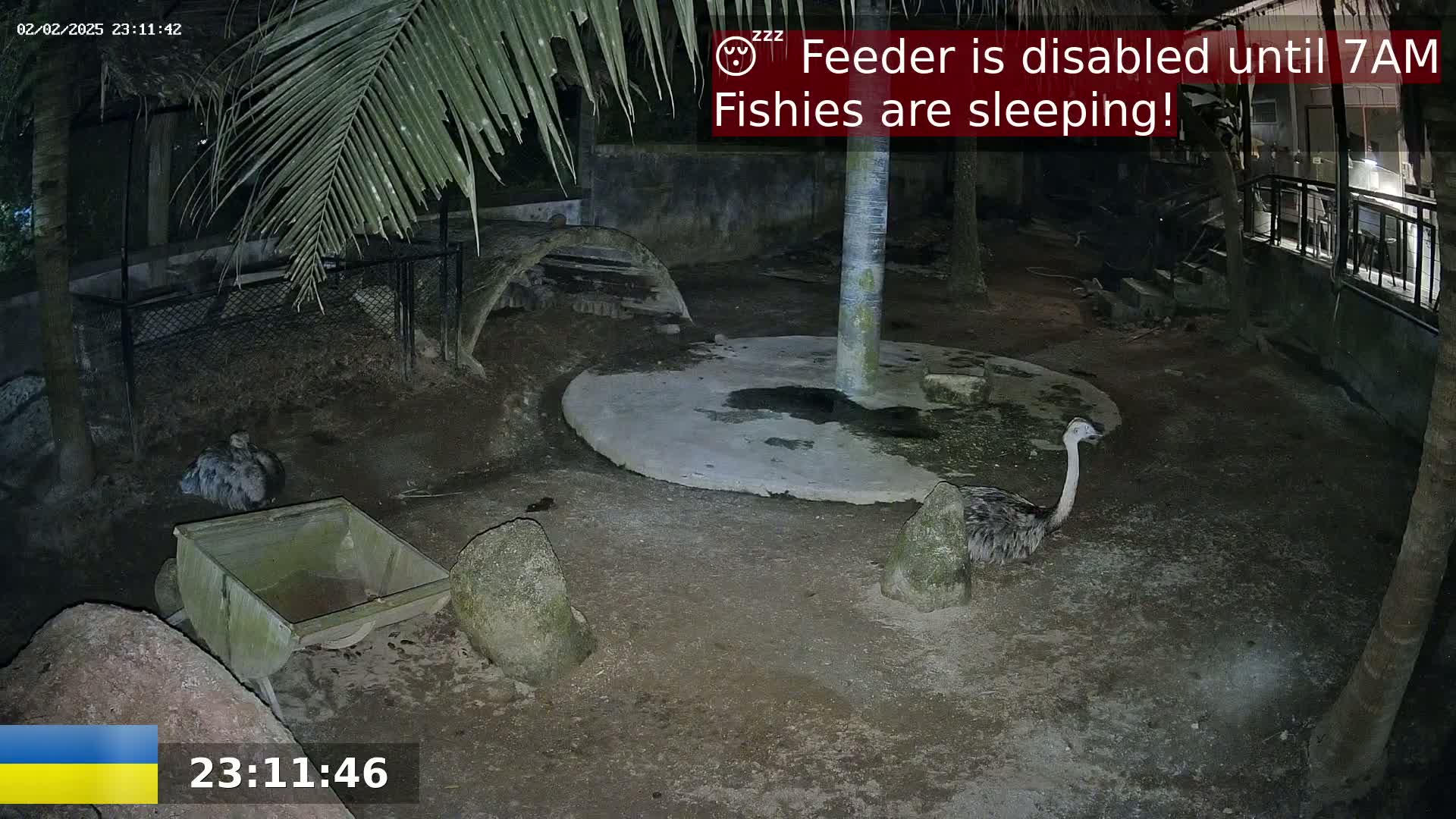 At night, an enclosure contains two rheas, a small cart, and several rocks, under a palm tree.