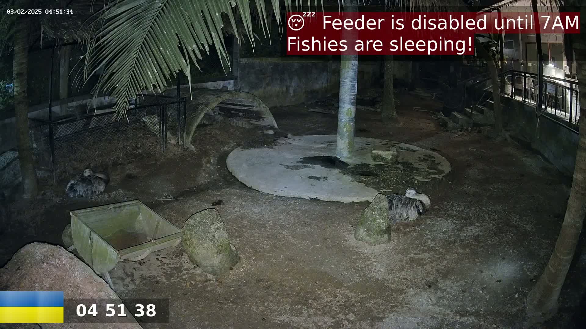 At night, two large birds rest in an enclosure, near a small wheelbarrow and several rocks, under palm trees.