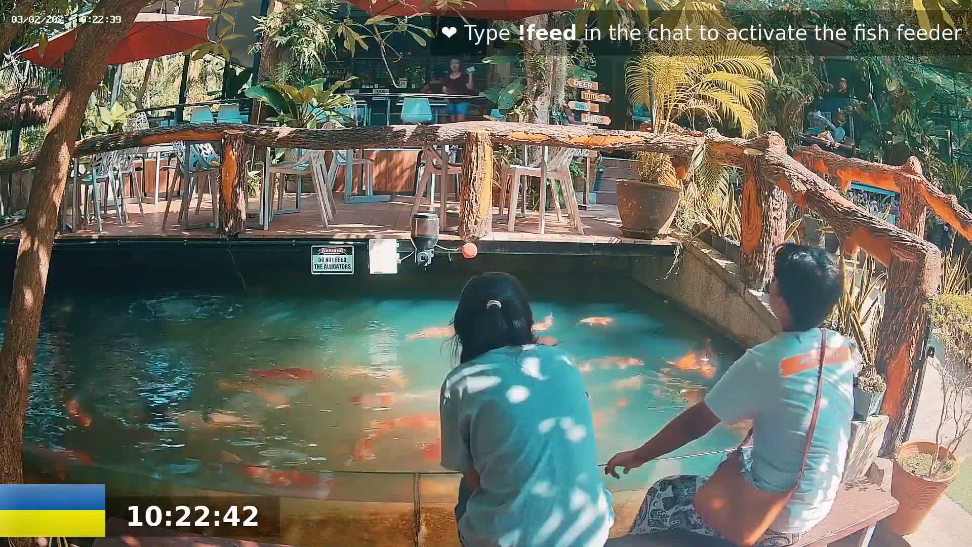 Two people sit by a pond filled with colorful fish, while a wooden bridge and outdoor seating area are visible in the background under a partly sunny sky.