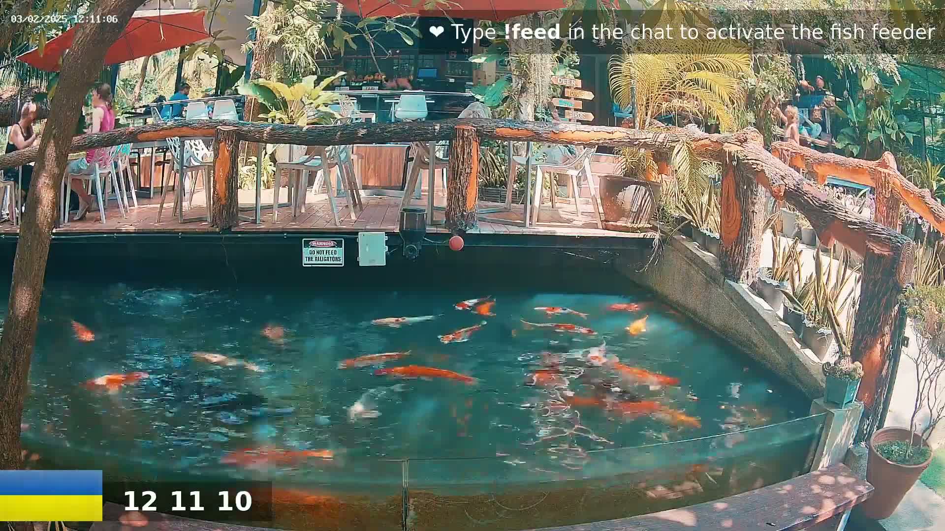 A koi pond filled with colorful fish sits below an outdoor restaurant patio on a sunny day.