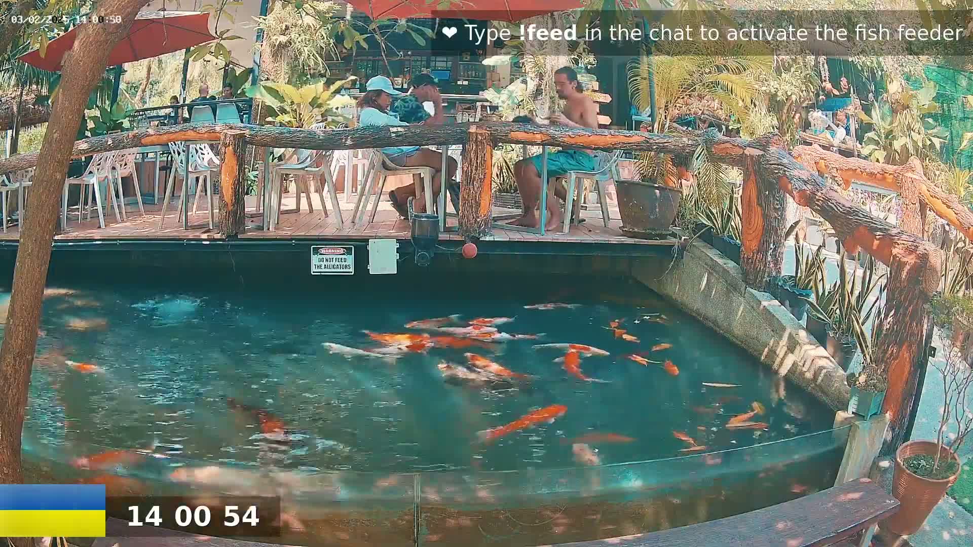 A pond filled with koi fish is situated beneath an outdoor patio where several people are seated at tables.