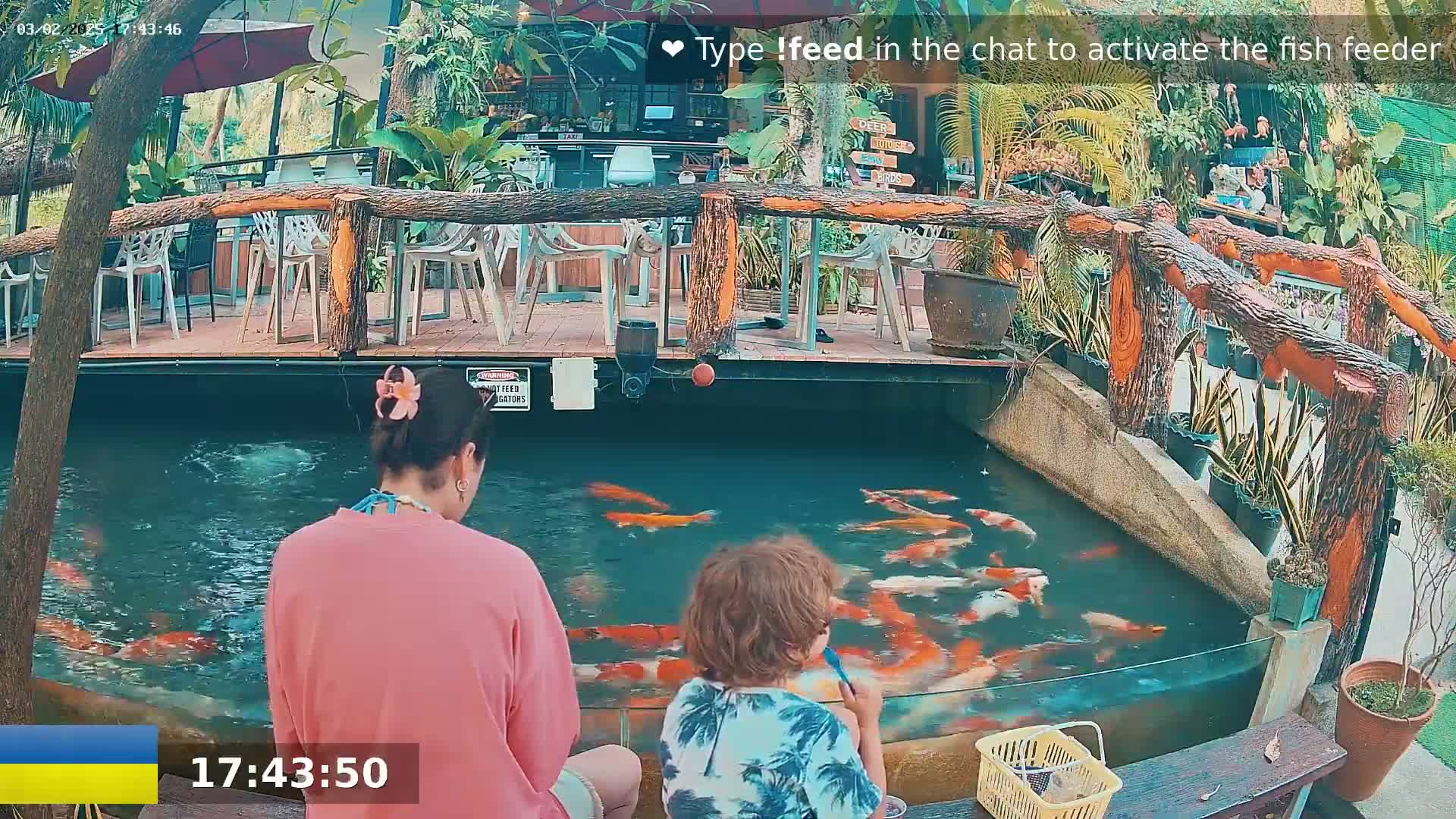 A woman and a child watch colorful koi fish swimming in a pond surrounded by lush greenery and outdoor seating.