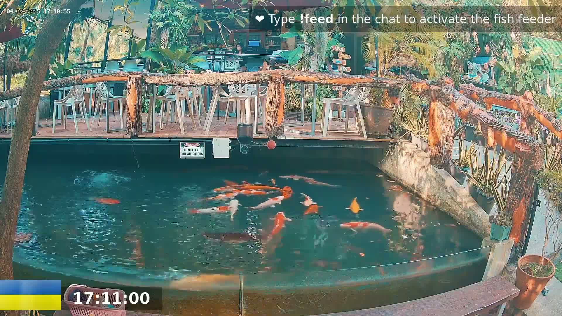 Koi fish swim in a pond next to an outdoor restaurant area with a wooden deck and several tables and chairs under sunny conditions.