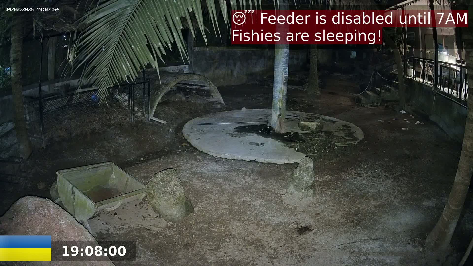 A nighttime outdoor enclosure shows a dirt ground with several large rocks, a small cart, a circular concrete pad, and parts of a curved structure, all under palm trees.