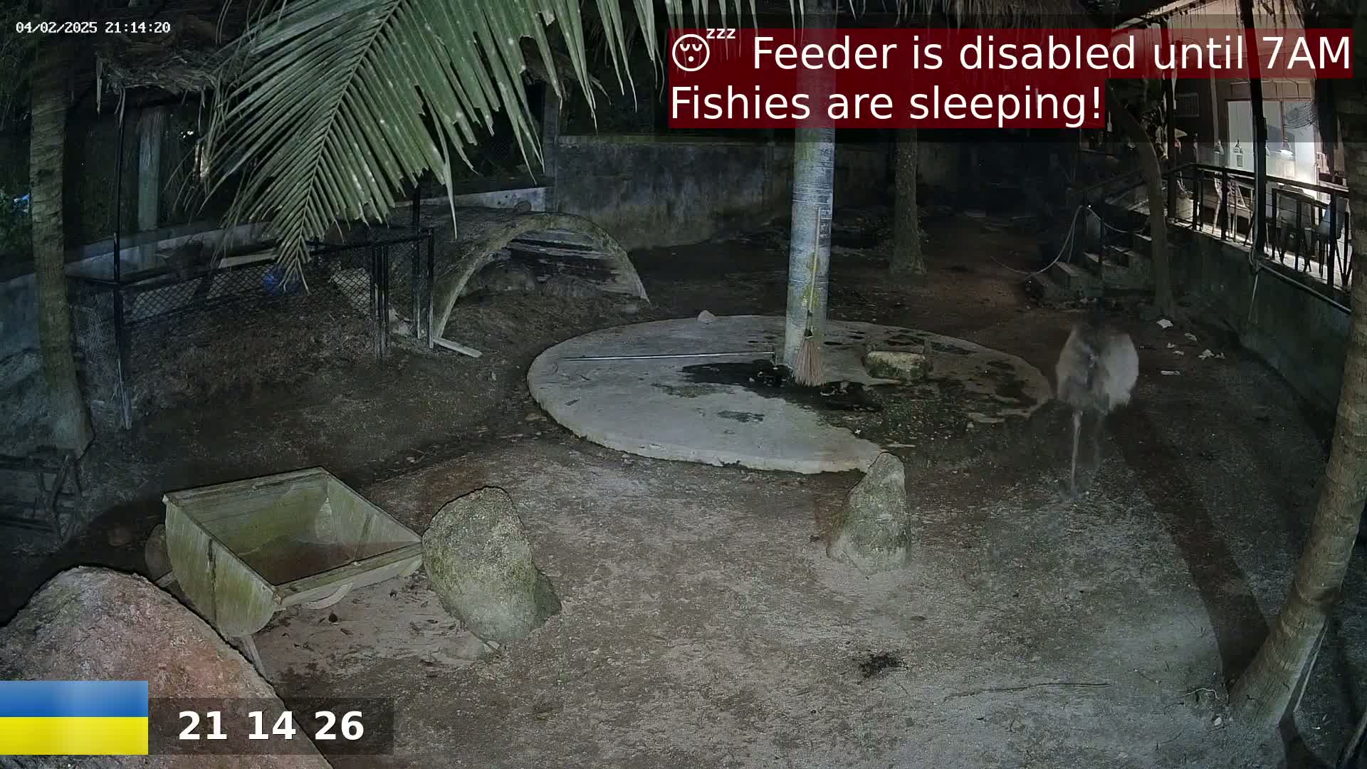 A nighttime outdoor enclosure shows a large bird, possibly an emu, walking on a dirt ground near a concrete circle, a small wooden cart, and several rocks, under palm trees.