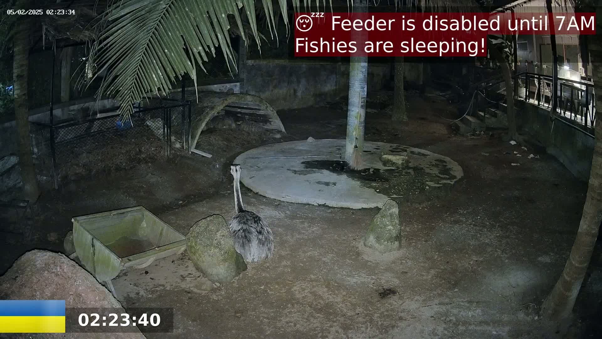 An emu stands in a dark, outdoor enclosure at night near a small, empty wooden cart.