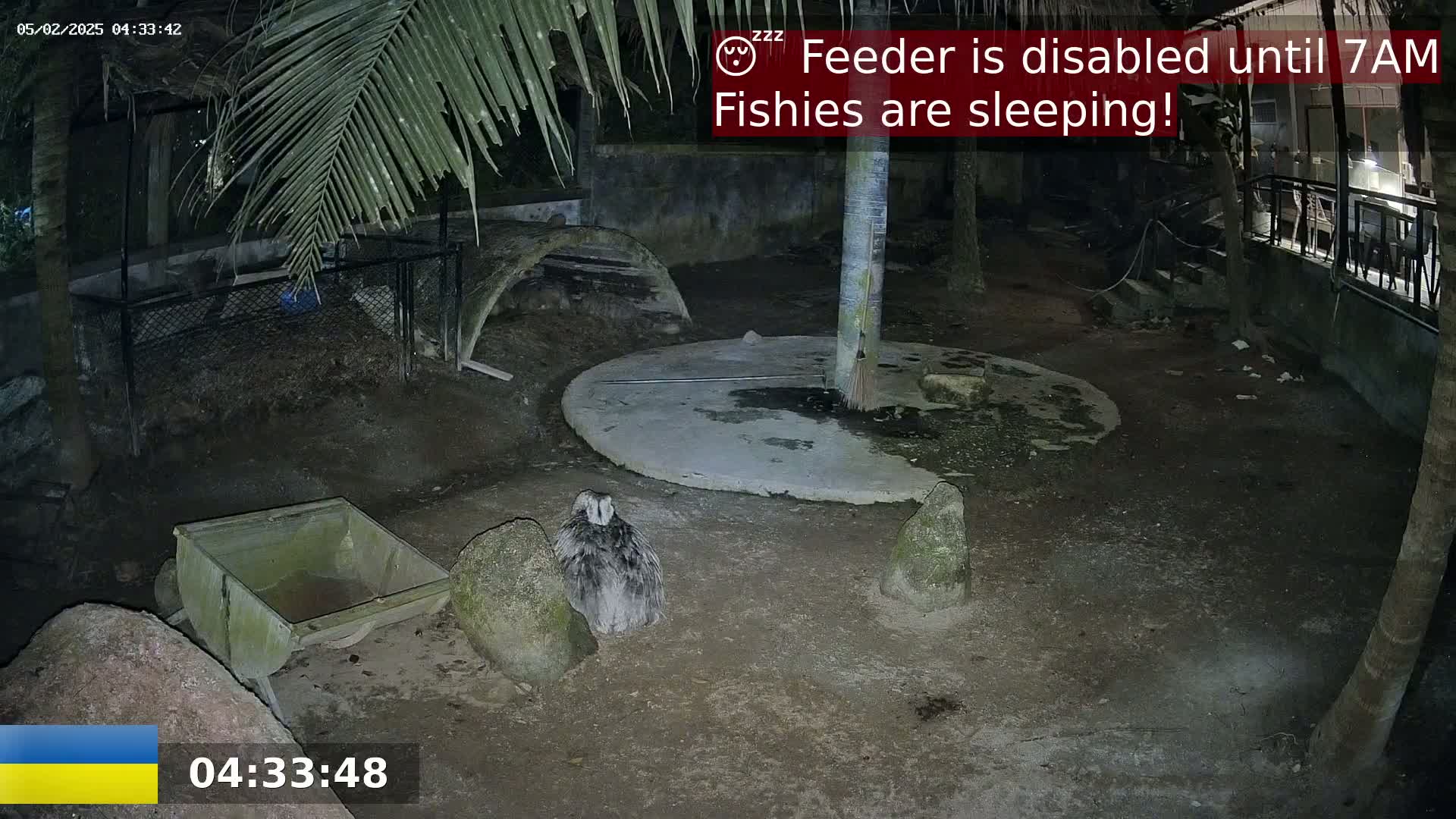 A nighttime outdoor enclosure shows a large bird near a small cart and several rocks, with palm trees and other structures visible in the background under dim lighting.
