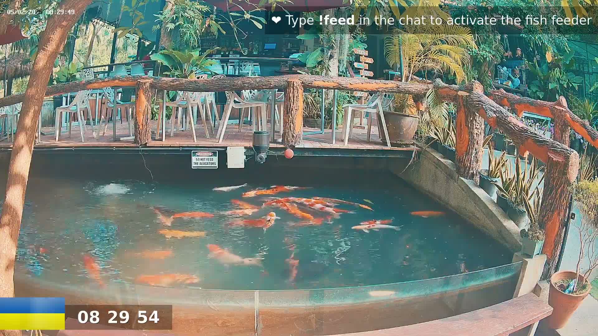 Zoo Cafe · Feed the Life of Fishes, Emus, Deers, Turtles, Malas  Live Cam  - Amphoe Ko Pha - Ngan, Surat Thani, Thailand