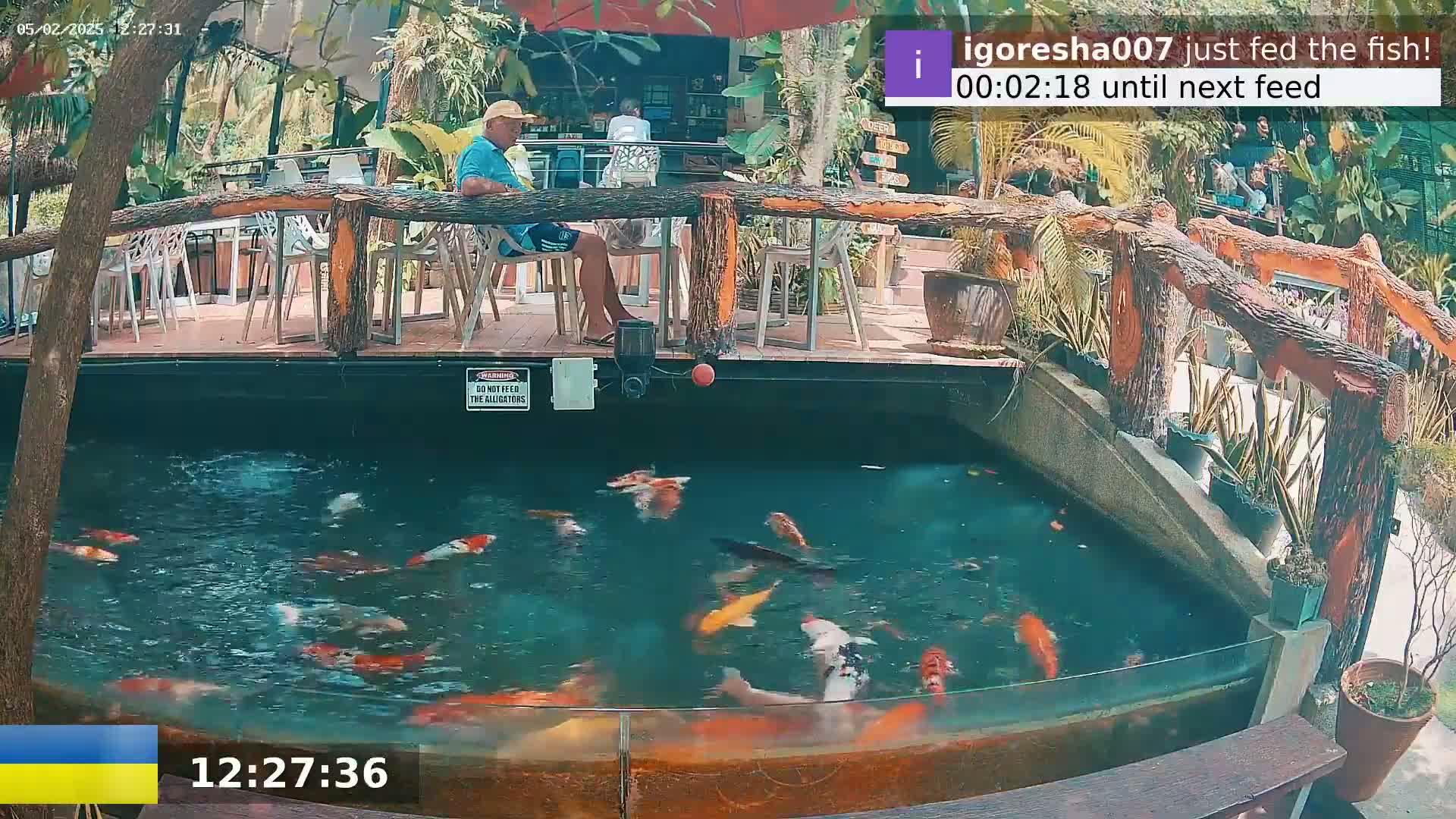 A man sits at an outdoor restaurant overlooking a pond filled with koi fish, under a sunny sky.