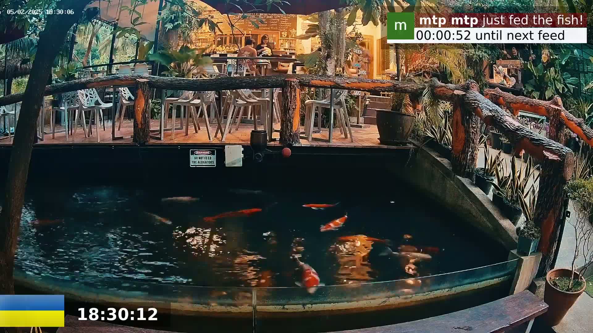 Zoo Cafe · Feed the Life of Fishes, Emus, Deers, Turtles, Malas  Live Cam  - Amphoe Ko Pha - Ngan, Surat Thani, Thailand