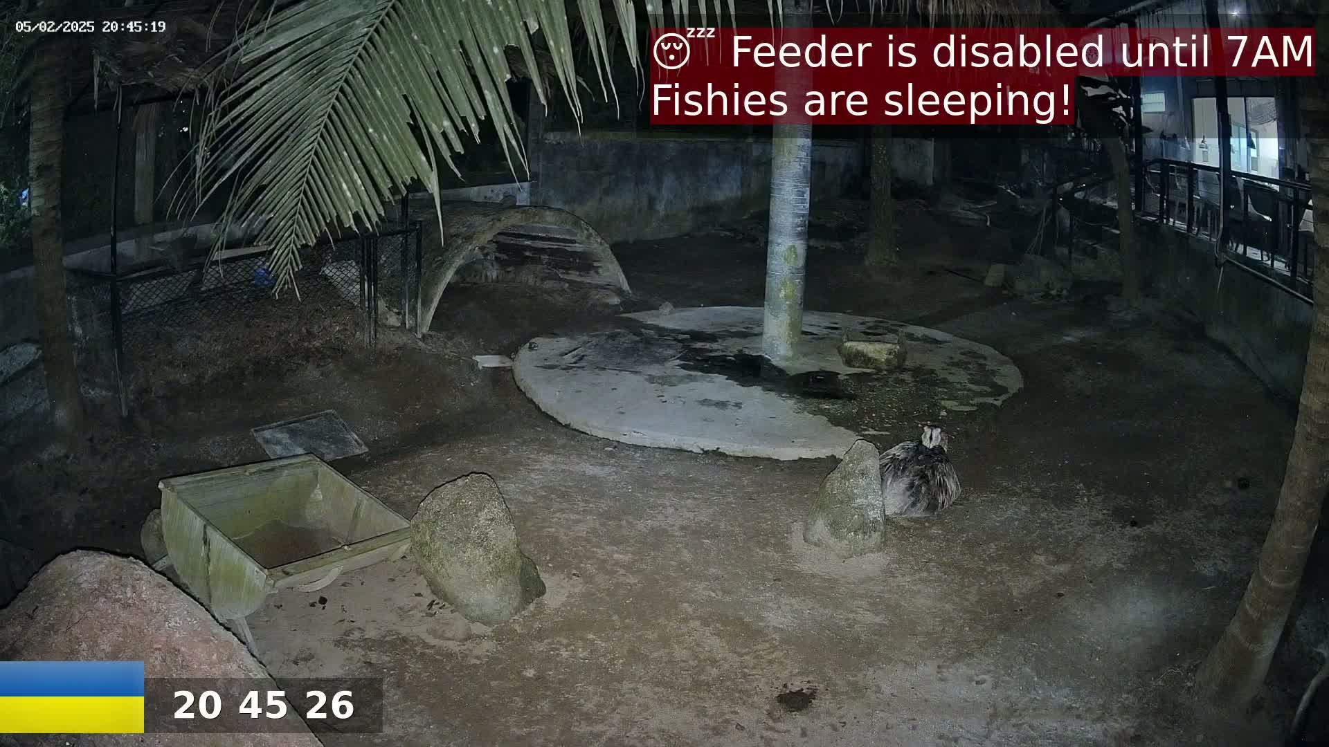 A nighttime outdoor enclosure shows a bird, a wheelbarrow, rocks, and a circular concrete area under palm trees.