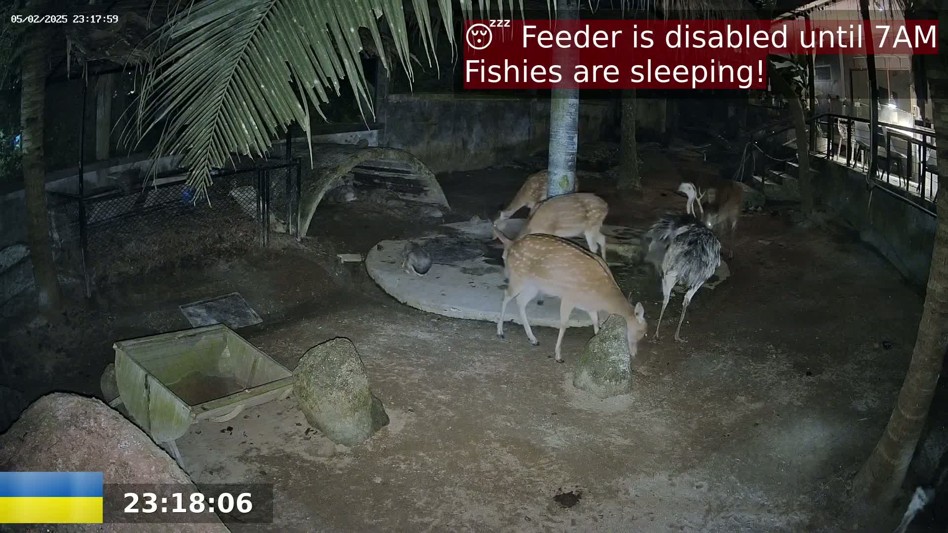 Zoo Cafe · Feed the Life of Fishes, Emus, Deers, Turtles, Malas  Live Cam  - Amphoe Ko Pha - Ngan, Surat Thani, Thailand