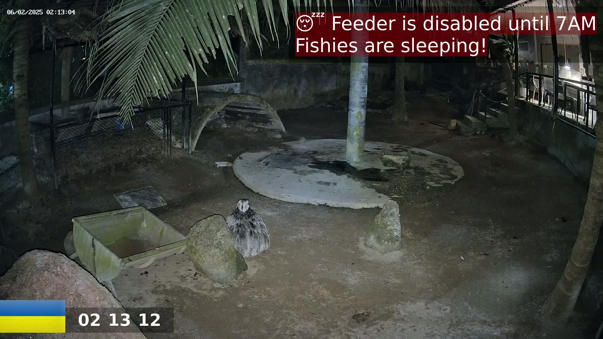 A large bird is perched on the ground at night in an enclosure, near a small cart and several rocks, under palm trees.