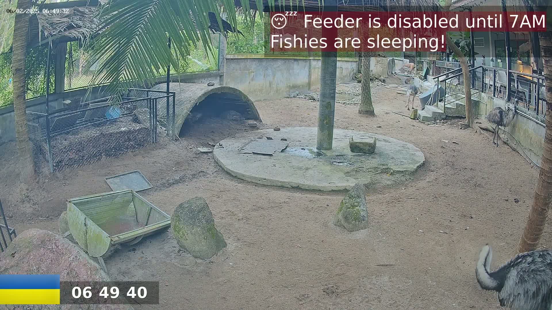 Zoo Cafe · Feed the Life of Fishes, Emus, Deers, Turtles, Malas  Live Cam  - Amphoe Ko Pha - Ngan, Surat Thani, Thailand
