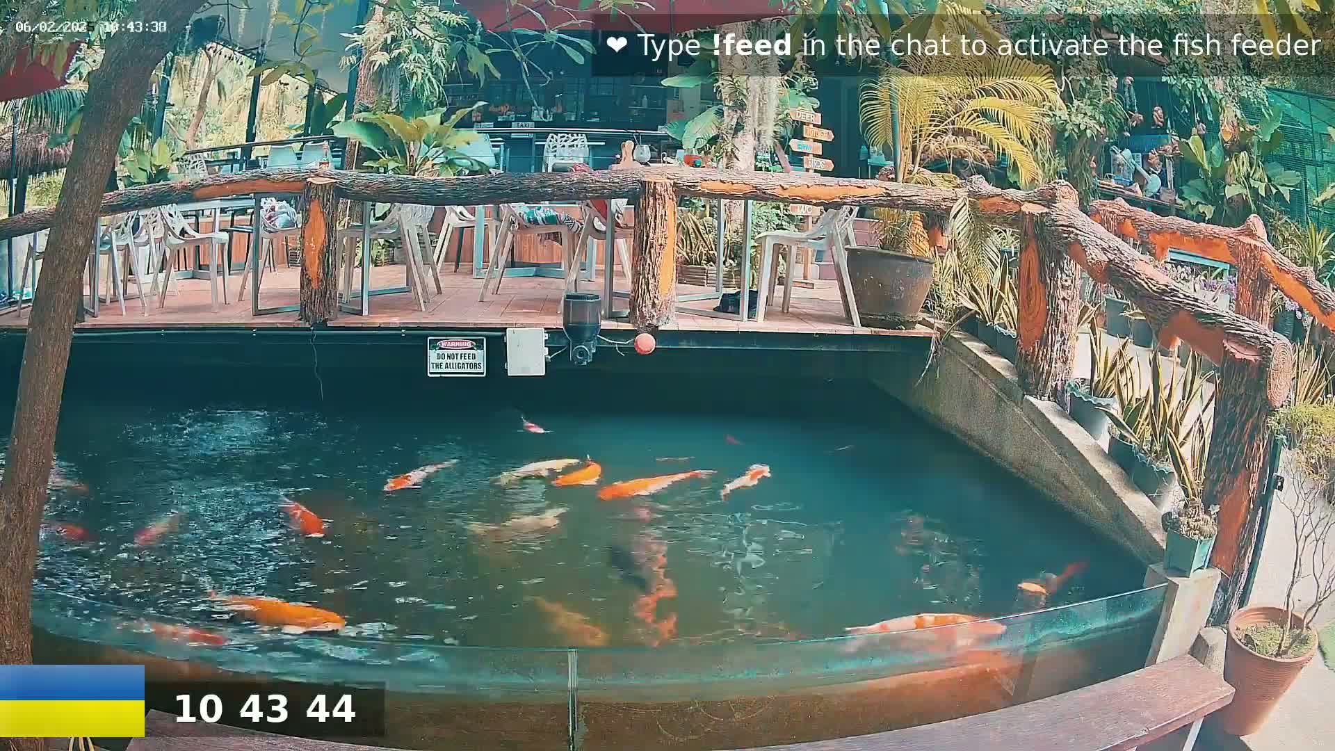 A koi pond with many orange and white fish is situated below an outdoor patio area with wooden railings and tables.