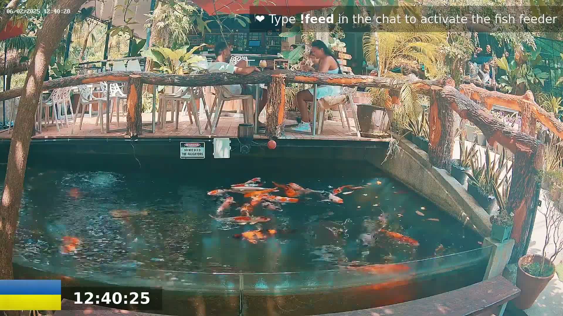 Zoo Cafe · Feed the Life of Fishes, Emus, Deers, Turtles, Malas  Live Cam  - Amphoe Ko Pha - Ngan, Surat Thani, Thailand