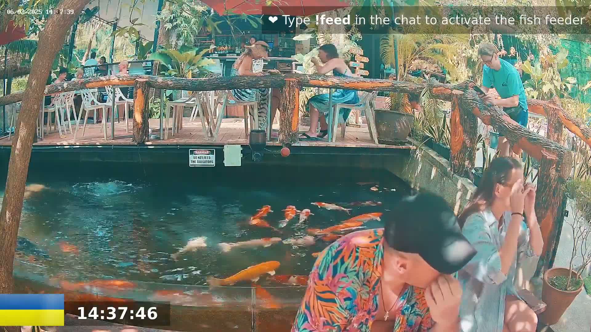 Zoo Cafe · Feed the Life of Fishes, Emus, Deers, Turtles, Malas  Live Cam  - Amphoe Ko Pha - Ngan, Surat Thani, Thailand