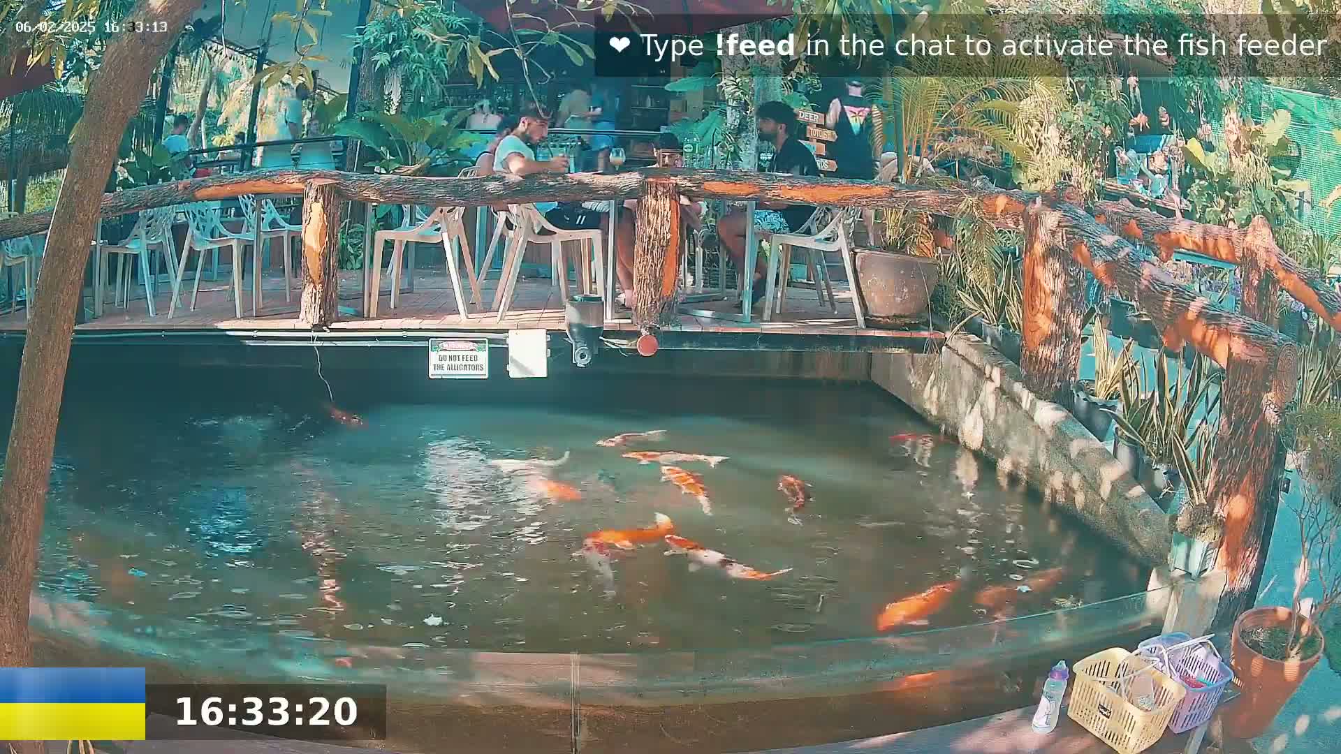 Zoo Cafe · Feed the Life of Fishes, Emus, Deers, Turtles, Malas  Live Cam  - Amphoe Ko Pha - Ngan, Surat Thani, Thailand
