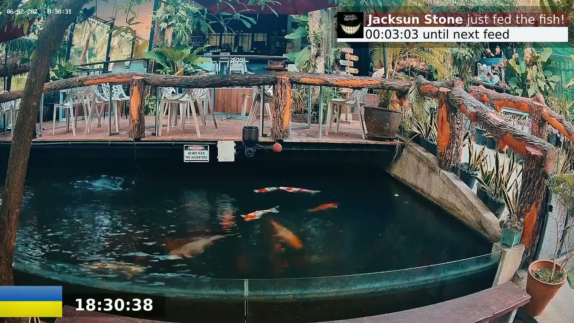 Zoo Cafe · Feed the Life of Fishes, Emus, Deers, Turtles, Malas  Live Cam  - Amphoe Ko Pha - Ngan, Surat Thani, Thailand